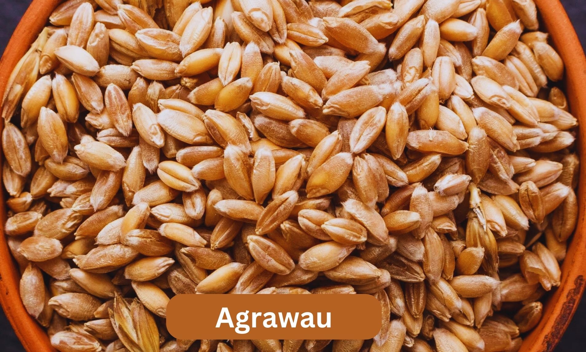 Agrawau