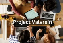 Project Valvrein